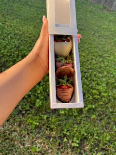 3 CT CHOCOLATE COVERED STRAWBERRIES